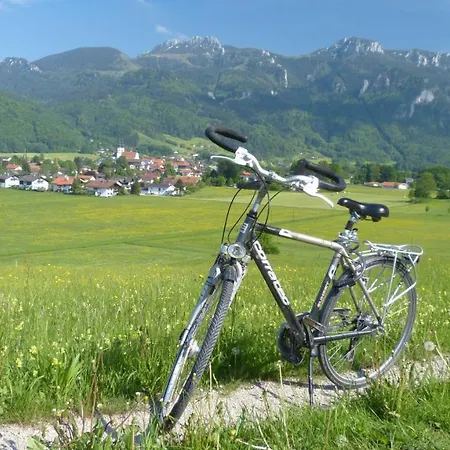 Hotel Wirtshaus Zum Baumbach Aschau im Chiemgau