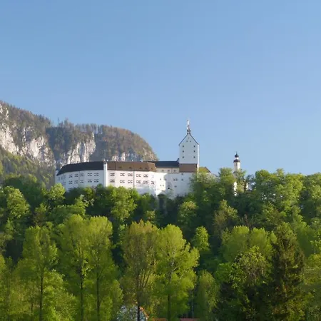 Wirtshaus Zum Baumbach Otel Aschau im Chiemgau