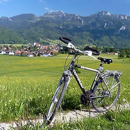 Wirtshaus Zum Baumbach فندق اسخو ام شيمغاو