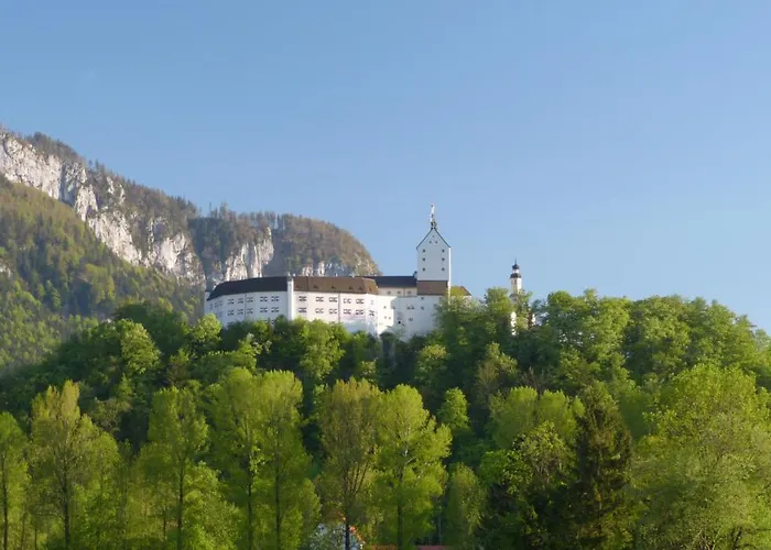 Wirtshaus Zum Baumbach فندق اسخو ام شيمغاو